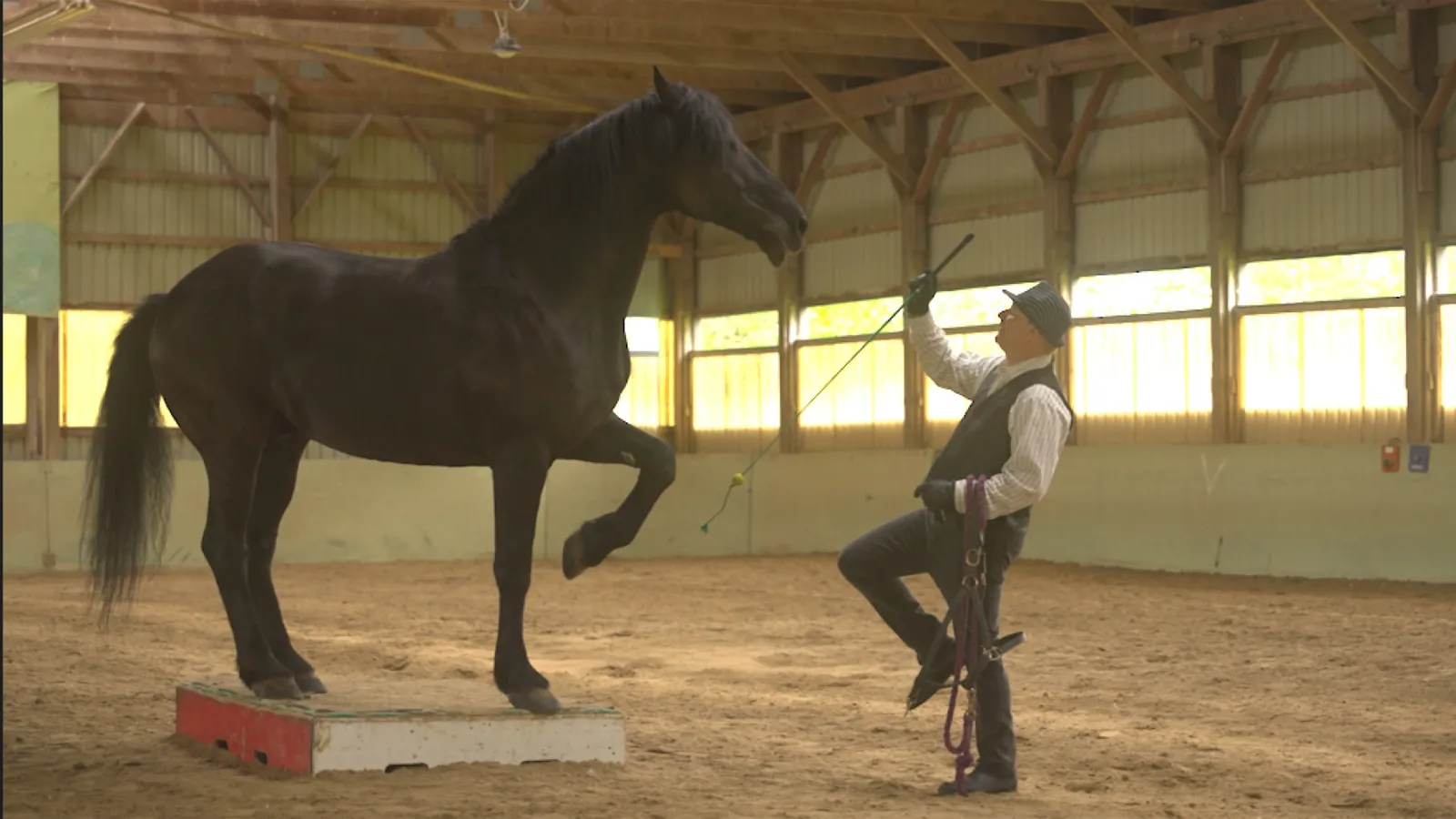 A horse and handler demonstrating movement in an indoor arena